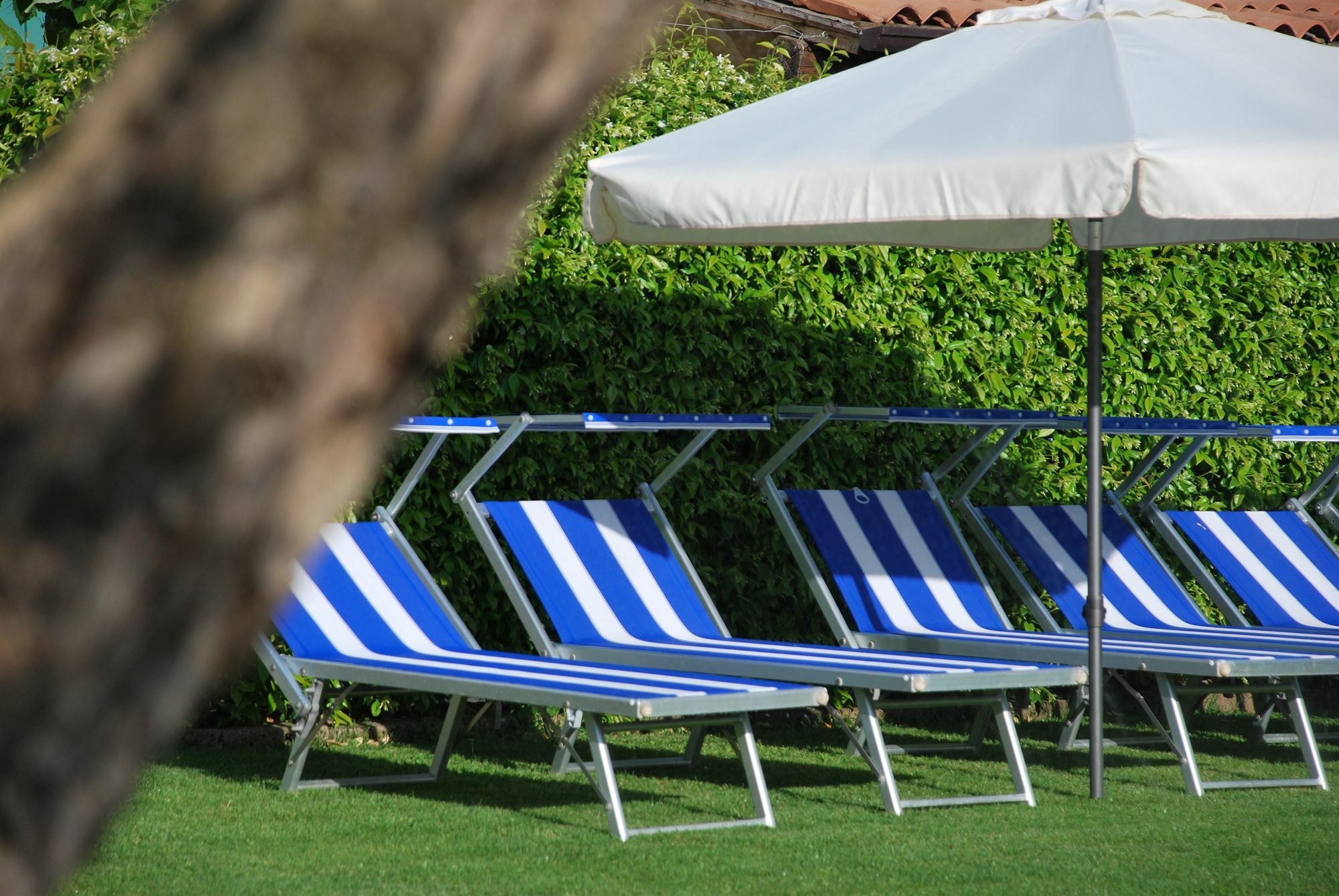 La Tinassara Bed & Breakfast Lazise Eksteriør bilde